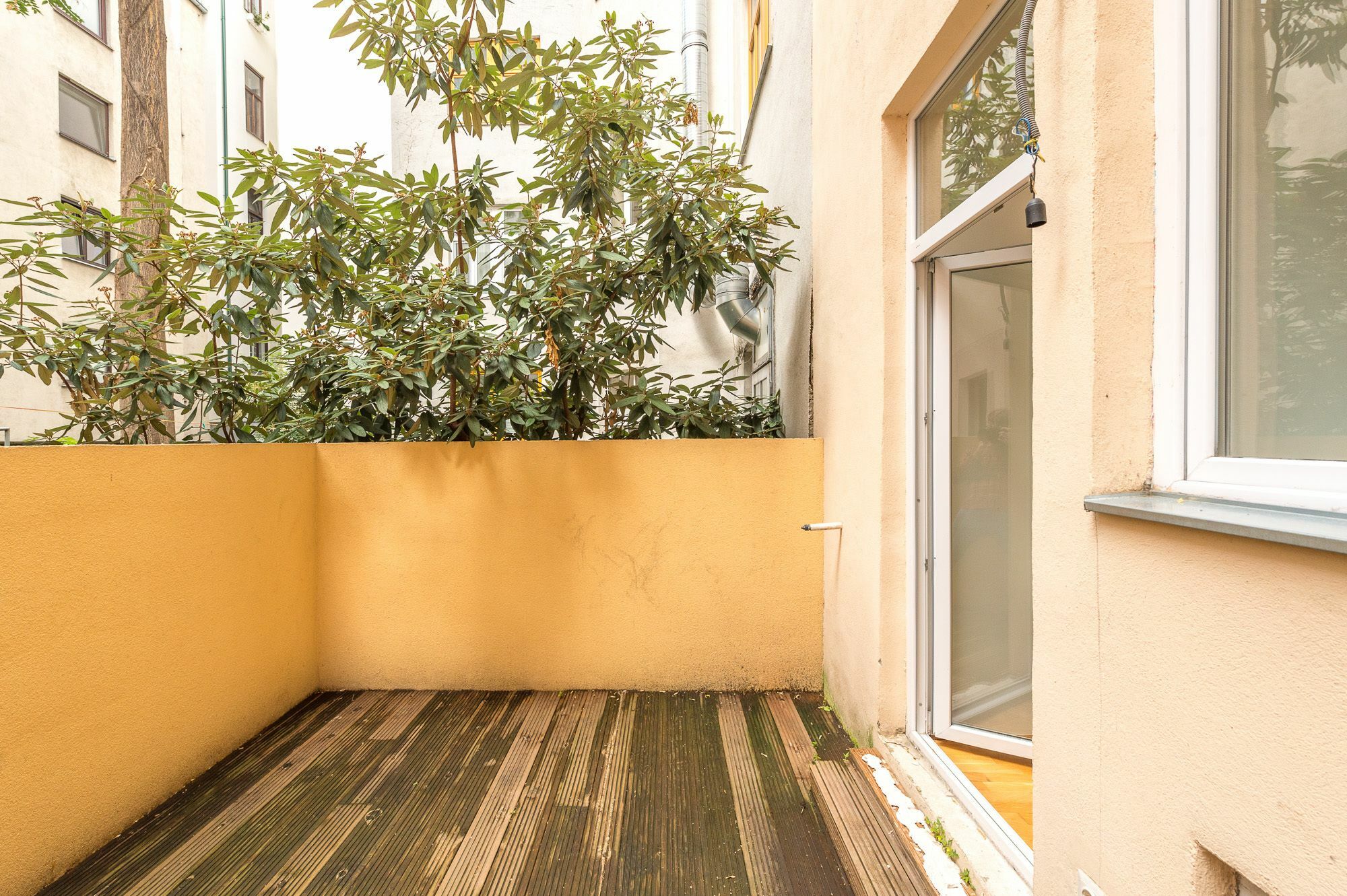 Goldfisch Apartment Am Augartenpark Viyana Dış mekan fotoğraf